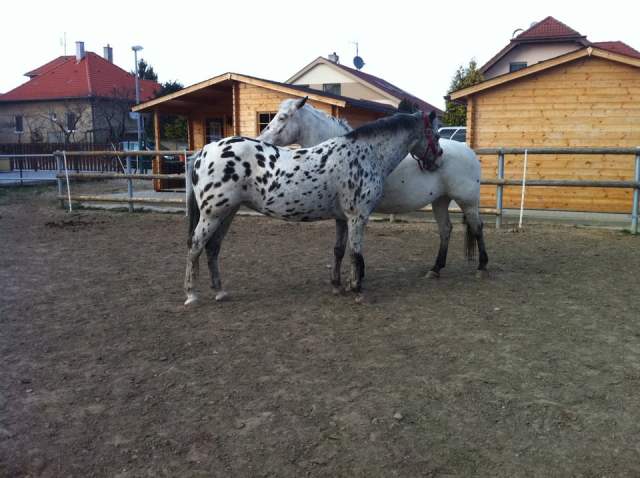 486058_2876258267533_1292263772_32265083_819650983_n